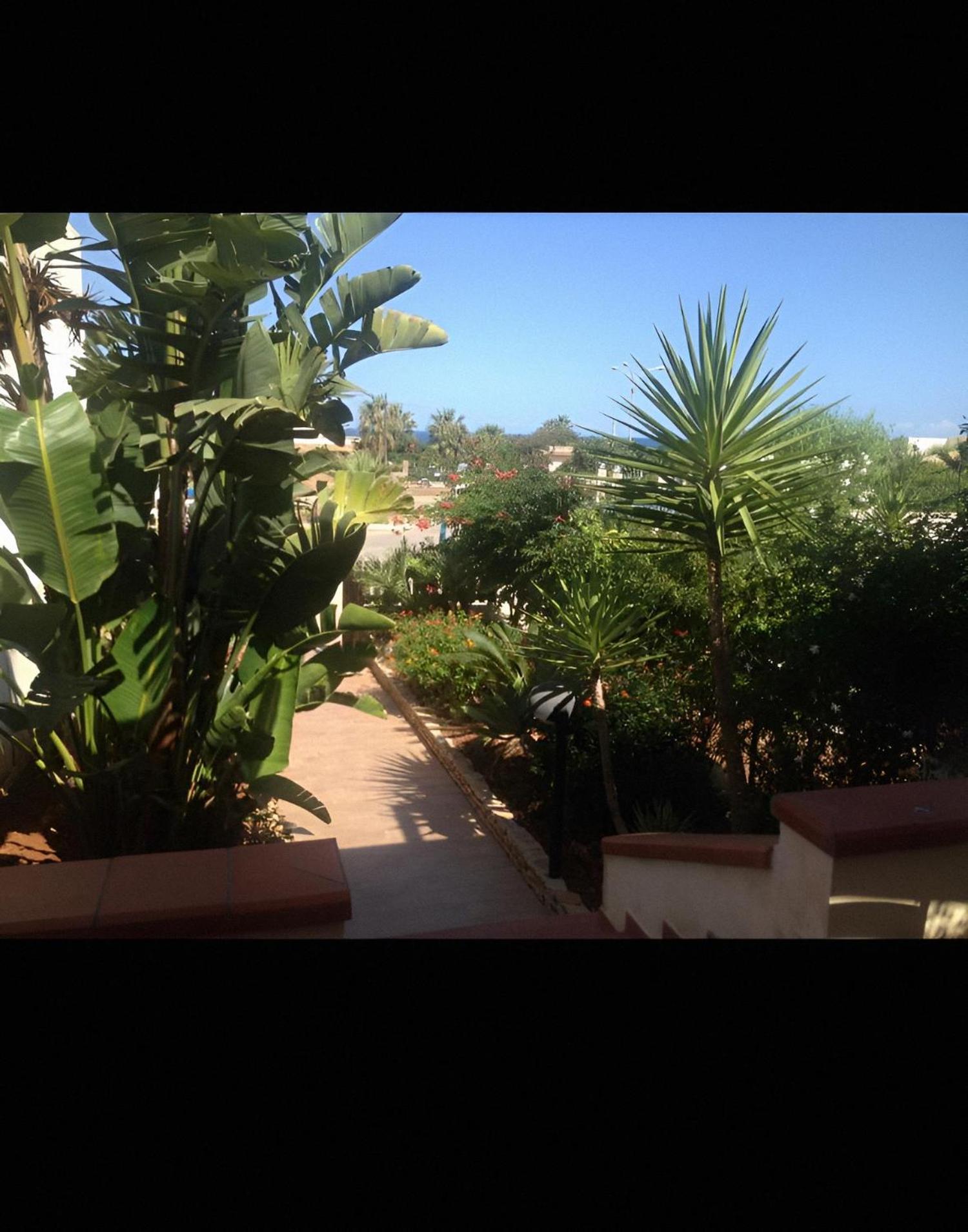 Le Palme Villa San Vito Lo Capo Ngoại thất bức ảnh